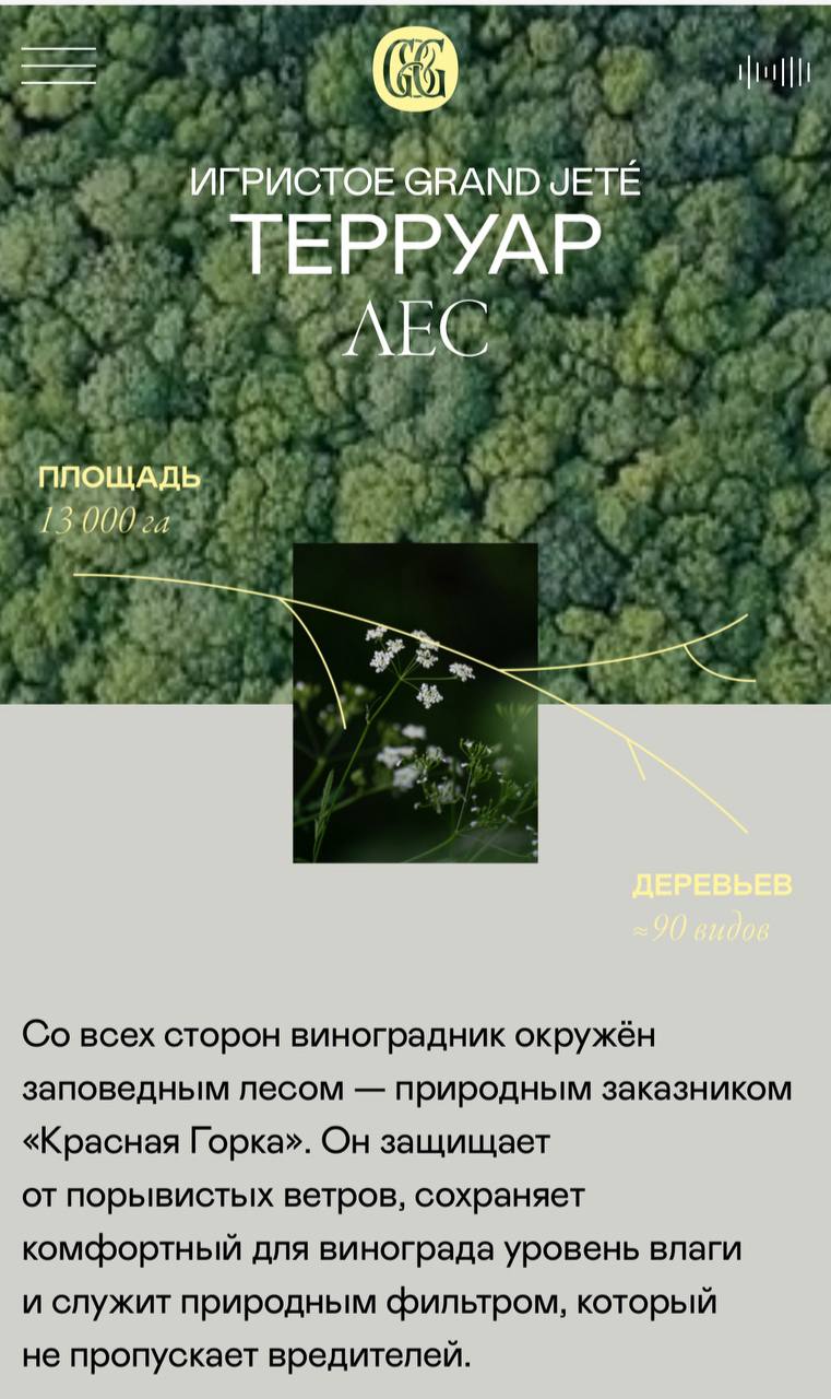 Краснодарцы, держите себя в руках, пожалуйста…
Весь мой профессиональный ресерч — это кейсы агентств, которые хотят с нами сотрудничать | Сетка — социальная сеть от hh.ru