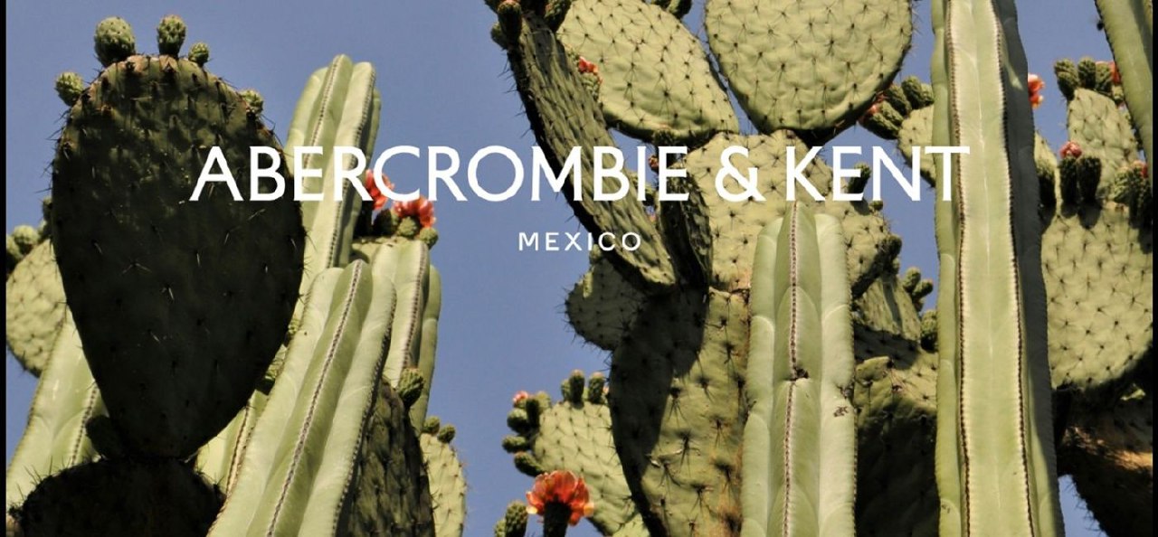 Abercrombie & Kent Announces Opening of Newest DMC in Mexico
Global leader in luxury travel, Abercrombie
& Kent (A&K) is expanding its presence in Mexico with the opening
of its newest Destination Man... | Сетка — социальная сеть от hh.ru