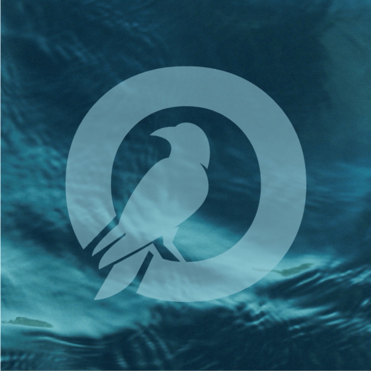 Екатерина Ворона | Сетка — социальная сеть от hh.ru