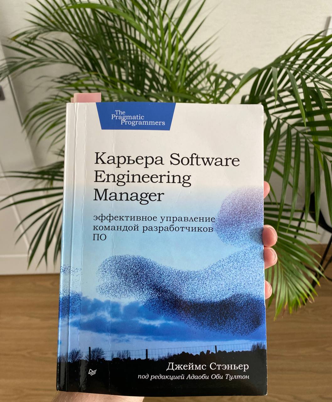 📕 Ревью настольной книги тимлида: «Карьера Software Engineering Manager» от Джеймса Стэньера (CTO в Shopify) | Сетка — социальная сеть от hh.ru