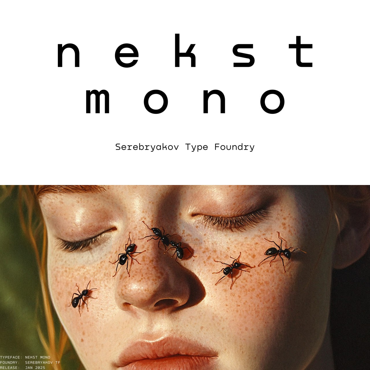 🆕 Nekst Mono — мой первый релиз 2025 года и одновременно неизбежная необходимость для Nekst. Nekst стал узнаваем, и, очевидно для меня, требует развития и внимания | Сетка — социальная сеть от hh.ru