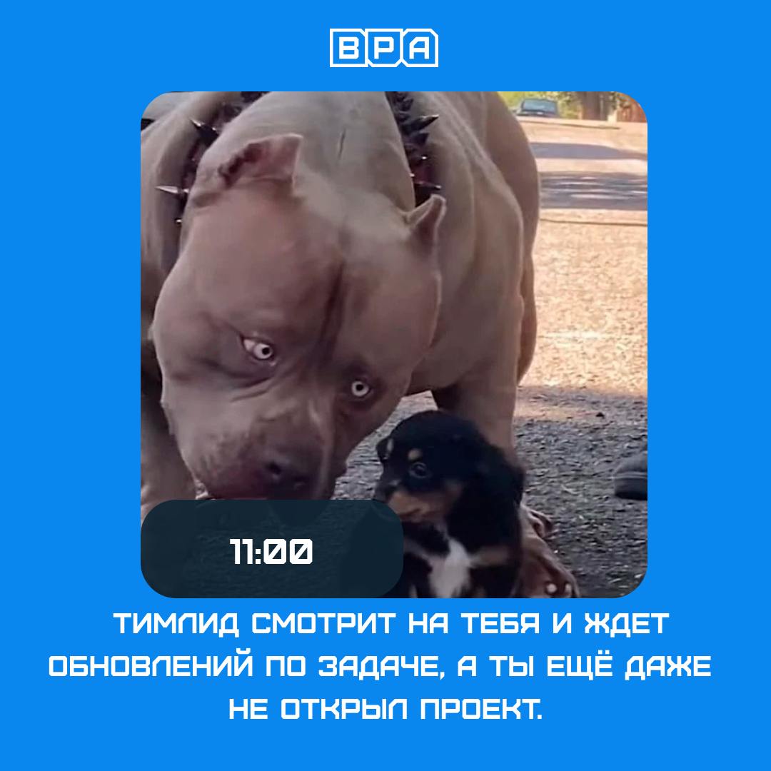 💡 Типичный день программиста
Кофе, код, баги, дедлайны — и немного хаоса для настроения. А как у вас проходят дни?
Сделали свою подборку 🤌 | Сетка — социальная сеть от hh.ru