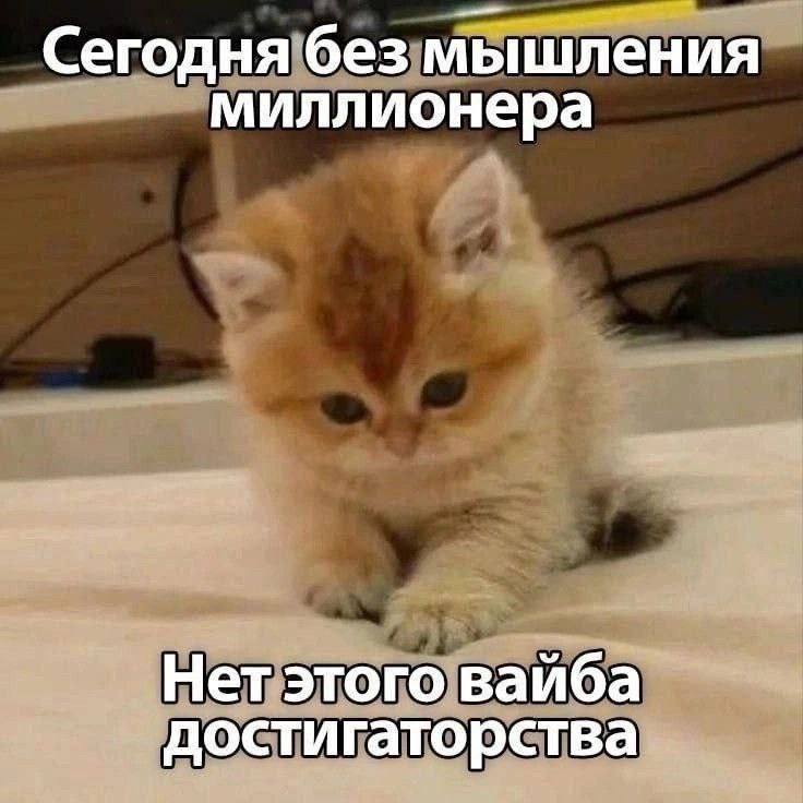 Держусь на этой энергии до конца рабочей недели. | Сетка — социальная сеть от hh.ru