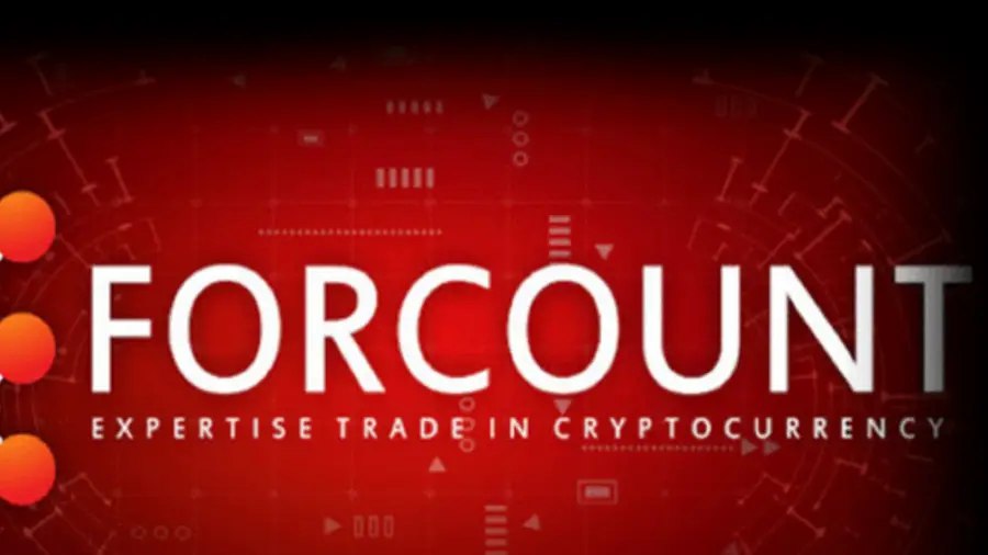 Соосновательницу криптопирамиды Forcount приговорили к 30 месяцам тюрьмы | Сетка — социальная сеть от hh.ru