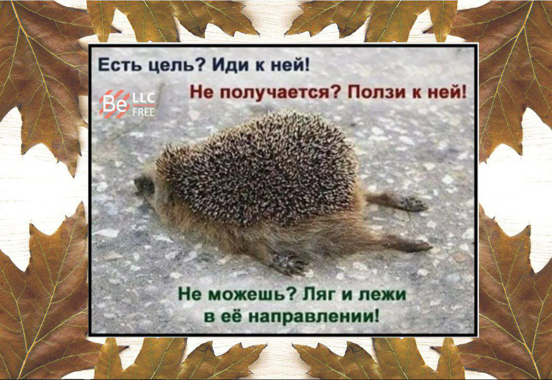 ➖Признаюсь вам, чем дольше я живу, тем яснее понимаю, что главное в жизни – это твердо знать, чего ты хочешь, и не позволять сбить себя с толку тем, кому кажется, будто они знают лучше. | Сетка — социальная сеть от hh.ru