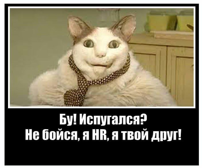 😂😂😂 | Сетка — социальная сеть от hh.ru