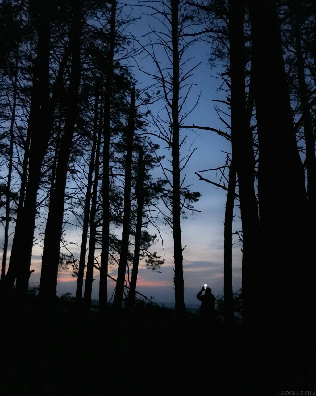 Чарующий вечерний лес в окрестностях Кисловодска
📸@southdreams
Ставьте ❤️, если тоже хотите прогуляться по лесу
@stavropolyevibe | Сетка — социальная сеть от hh.ru
