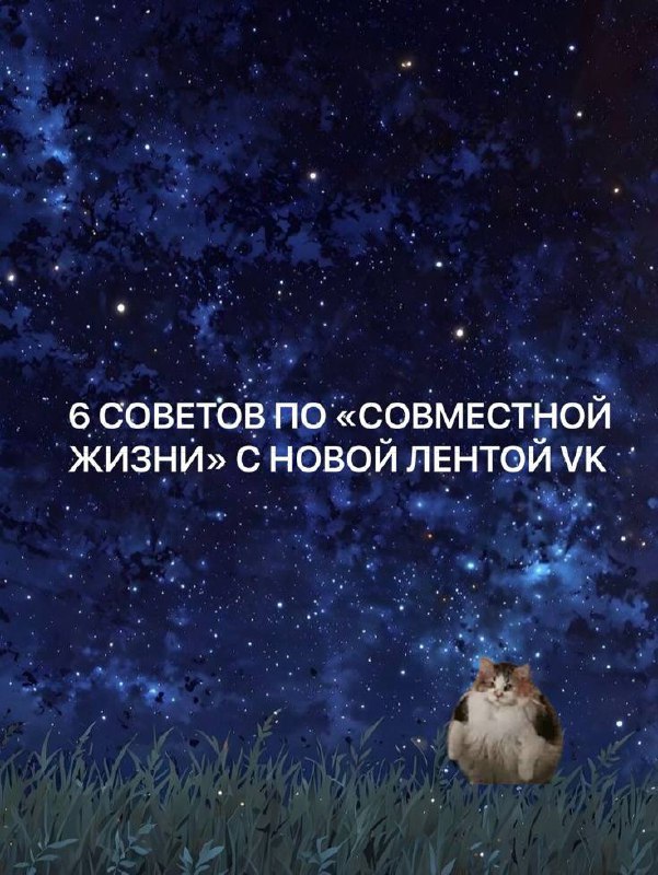 Вроде отбесились, теперь можно переходить в стадию принятия и внедрения 😎подборка с советами для тебя | Сетка — социальная сеть от hh.ru