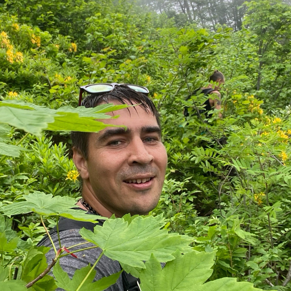 Павел Денисов | Сетка — социальная сеть от hh.ru