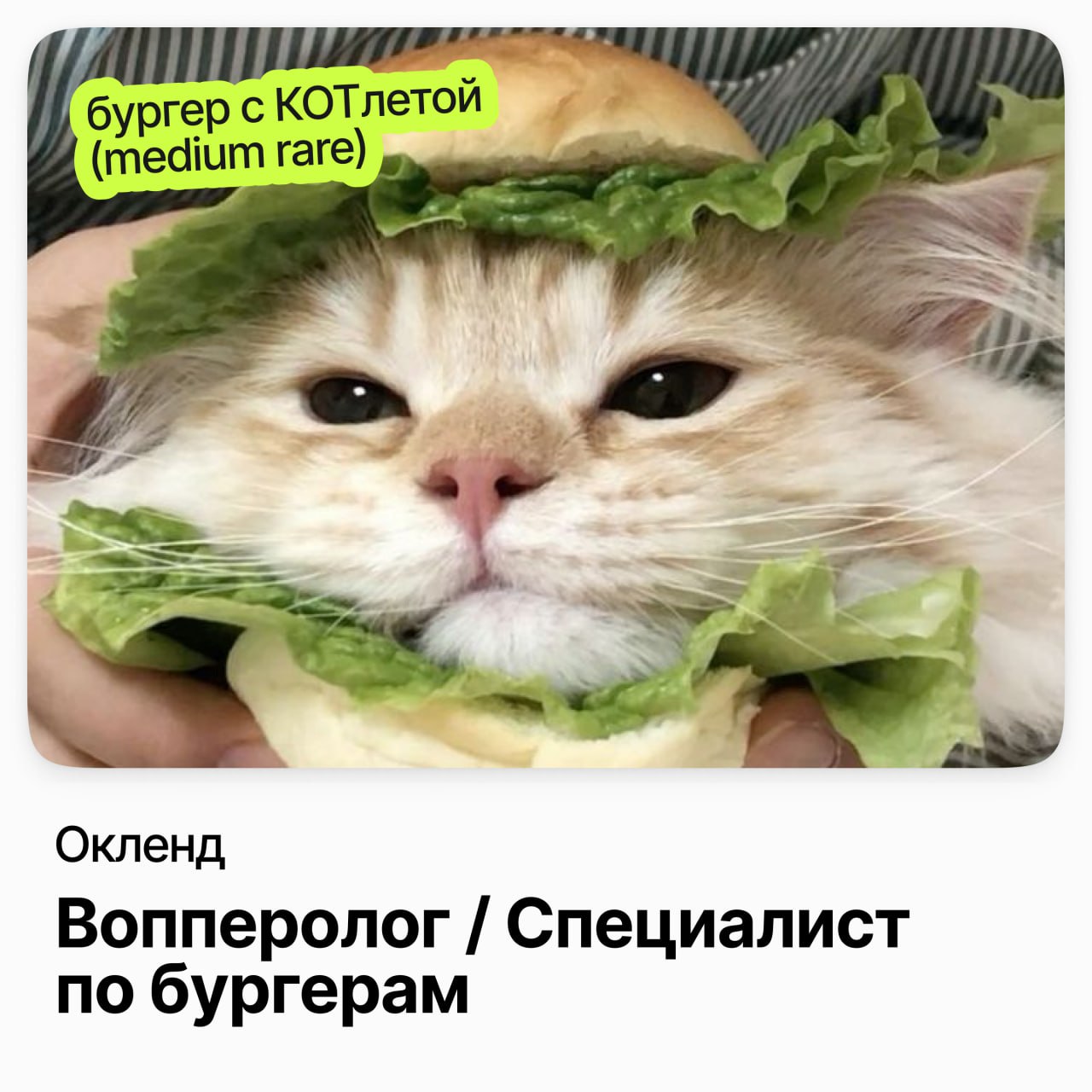 Новозеландский Burger King ищет знатока вопперологических наук для детальной оценки легендарного Воппера | Сетка — социальная сеть от hh.ru
