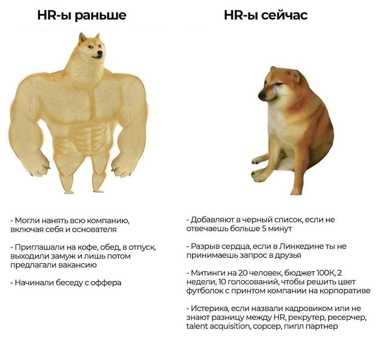 #IT
😂 Твой Пакет Мемов
🛍 Другие каналы | Сетка — социальная сеть от hh.ru