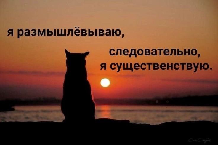 Читаю повесть молодого и хорошего автора. К сожалению, редактуру он возложил (пока что) на GPT. Попробуйте найти подозрительное слово в тексте | Сетка — социальная сеть от hh.ru
