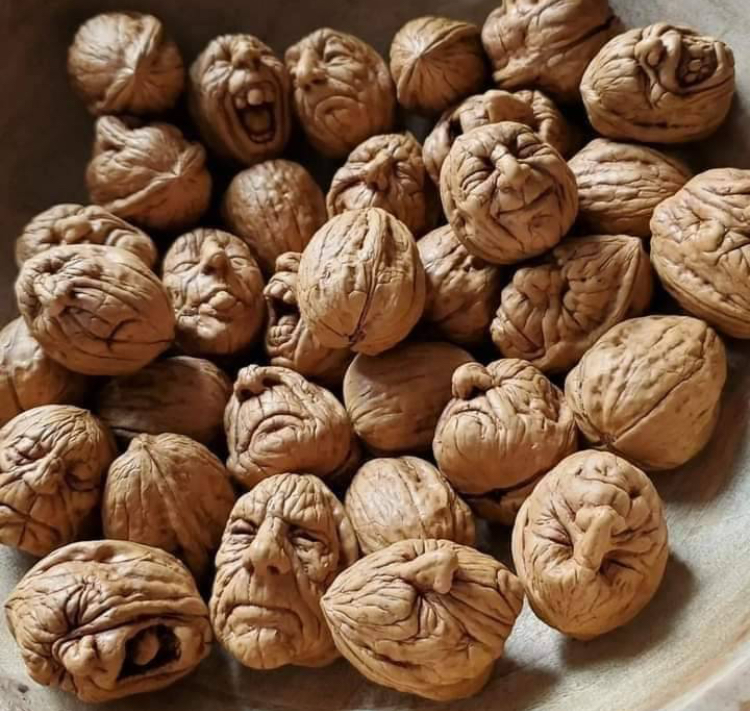 Лучше … бить орехи 🌰 , чем учиться в политехе 😁👍 https://t.me/hellogarag | Сетка — социальная сеть от hh.ru