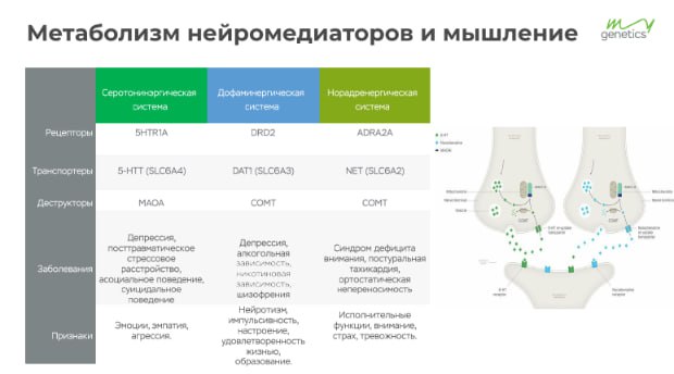 🧬Генетика и обучаемость: мифы, факты и будущее персонализированного образования
 — ключевые тезисы выступления Валерия Полуновского на осенней конференции Human Обучение Персонала
1️⃣ Генетика и обуча... | Сетка — социальная сеть от hh.ru