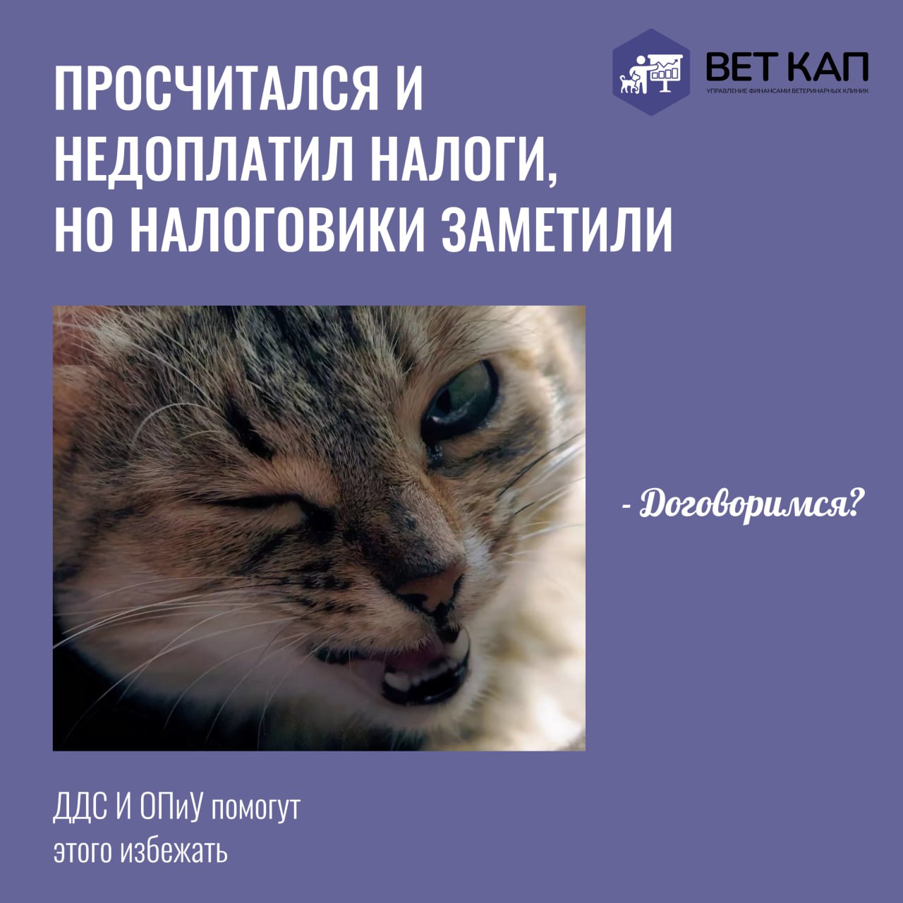 🐈‍⬛ Что случается с котиками собственниками без управленки.
Скачайте бесплатные шаблоны управленческих отчетов, чтобы внедрить финансовый учет и решить проблемы в вашей ветеринарной клинике уже завтра | Сетка — социальная сеть от hh.ru