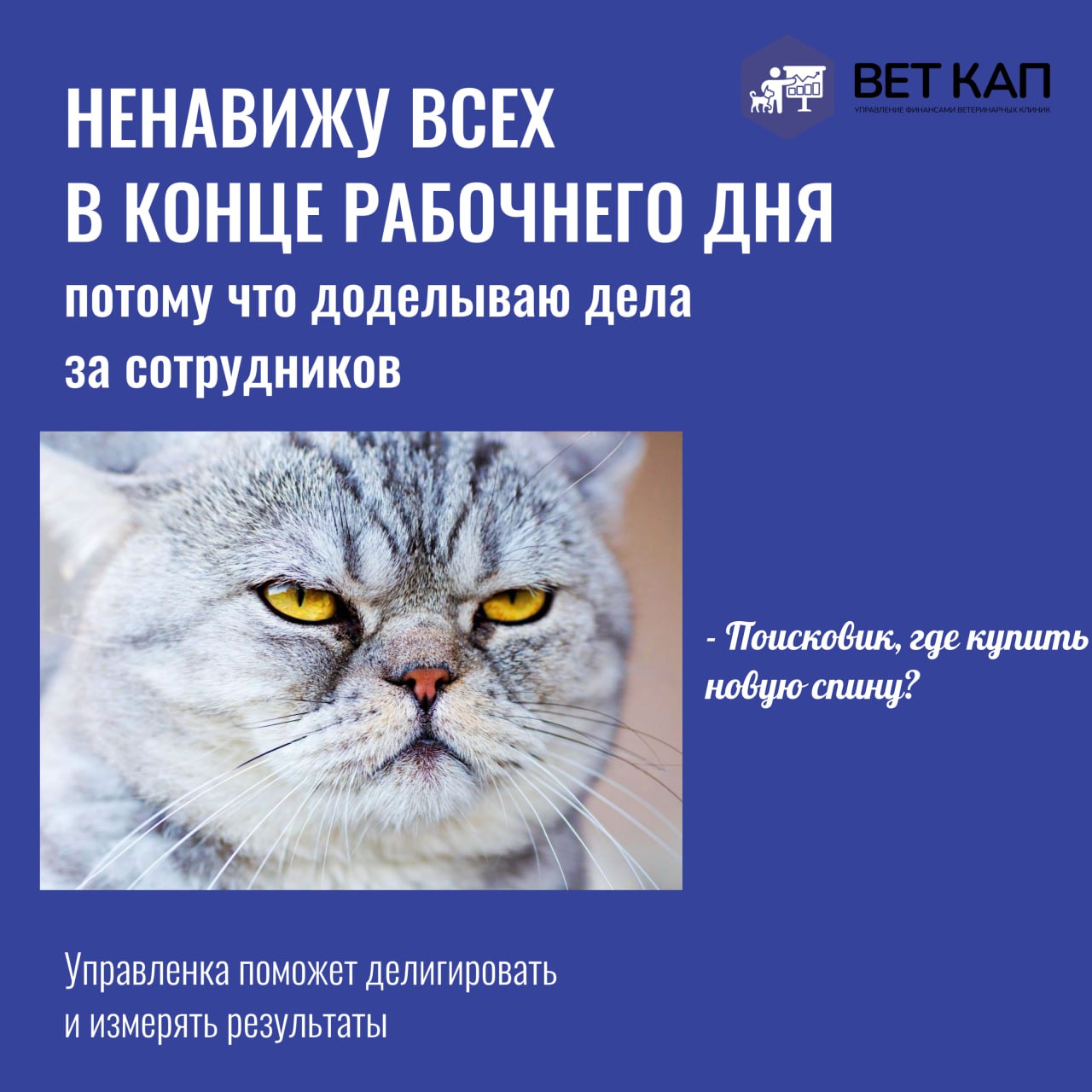 🐈‍⬛ Что случается с котиками собственниками без управленки.
Скачайте бесплатные шаблоны управленческих отчетов, чтобы внедрить финансовый учет и решить проблемы в вашей ветеринарной клинике уже завтра | Сетка — социальная сеть от hh.ru