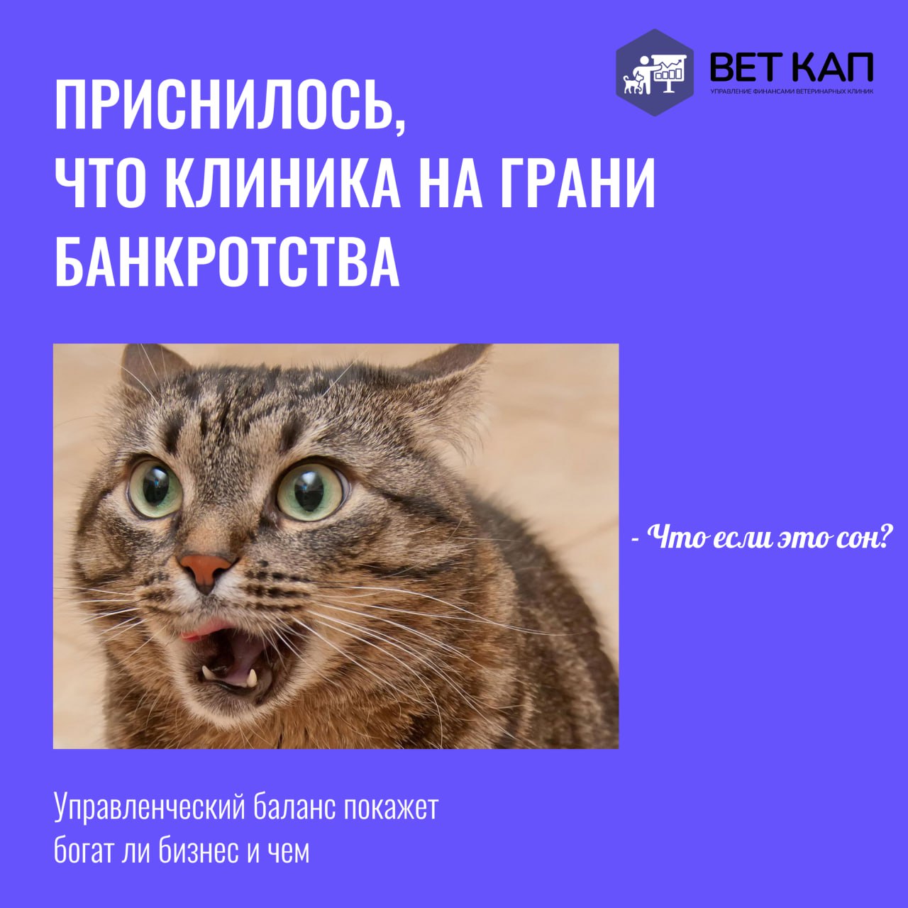 🐈‍⬛ Что случается с котиками собственниками без управленки.
Скачайте бесплатные шаблоны управленческих отчетов, чтобы внедрить финансовый учет и решить проблемы в вашей ветеринарной клинике уже завтра | Сетка — социальная сеть от hh.ru