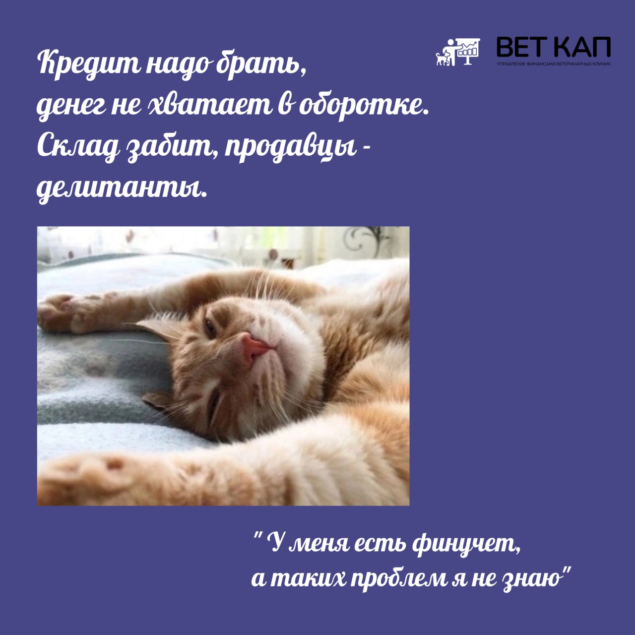 🐈‍⬛ Что случается с котиками собственниками без управленки.
Скачайте бесплатные шаблоны управленческих отчетов, чтобы внедрить финансовый учет и решить проблемы в вашей ветеринарной клинике уже завтра | Сетка — социальная сеть от hh.ru