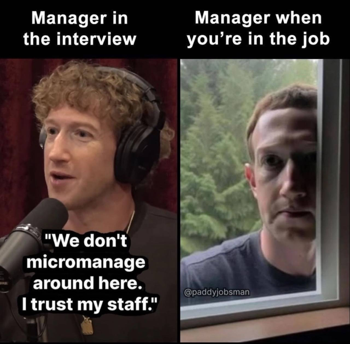 Сетка — социальная сеть от hh.ru