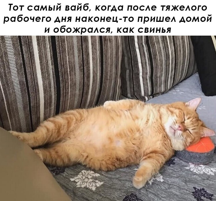 📊 KPI по мемам | Сетка — социальная сеть от hh.ru