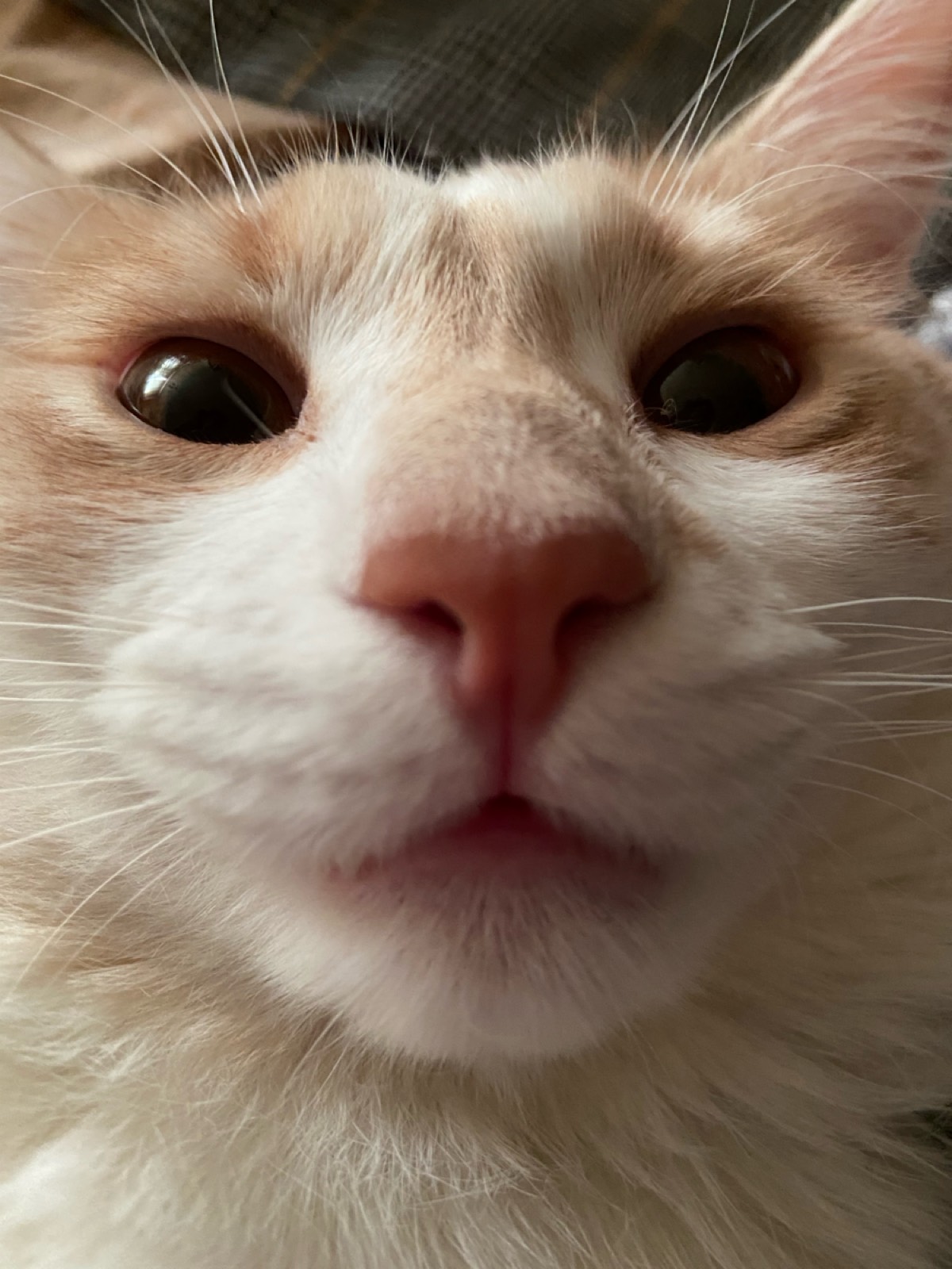 Денис Суворов