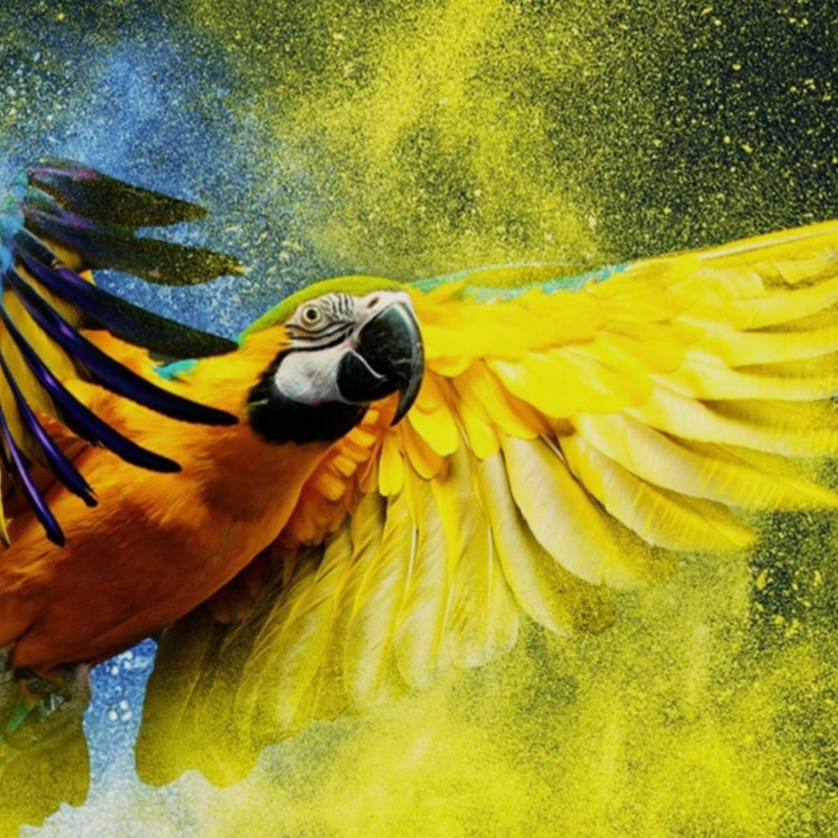 Даниил Лисов | Сетка — социальная сеть от hh.ru