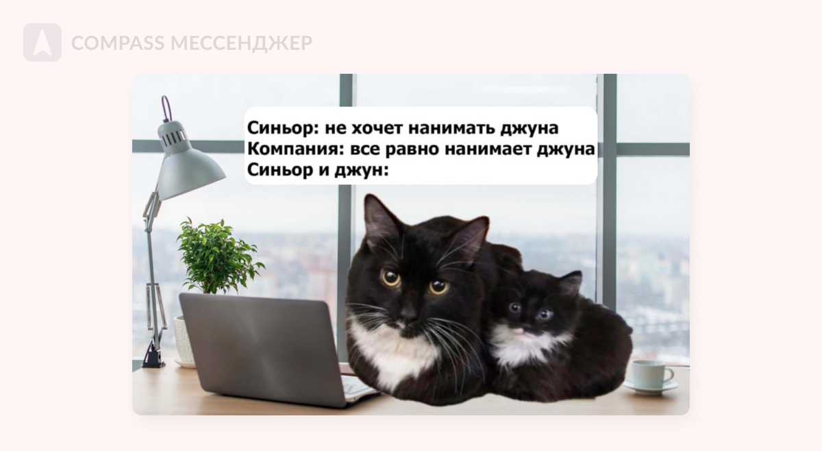 7 способов заставить новичка уволиться | Сетка — социальная сеть от hh.ru