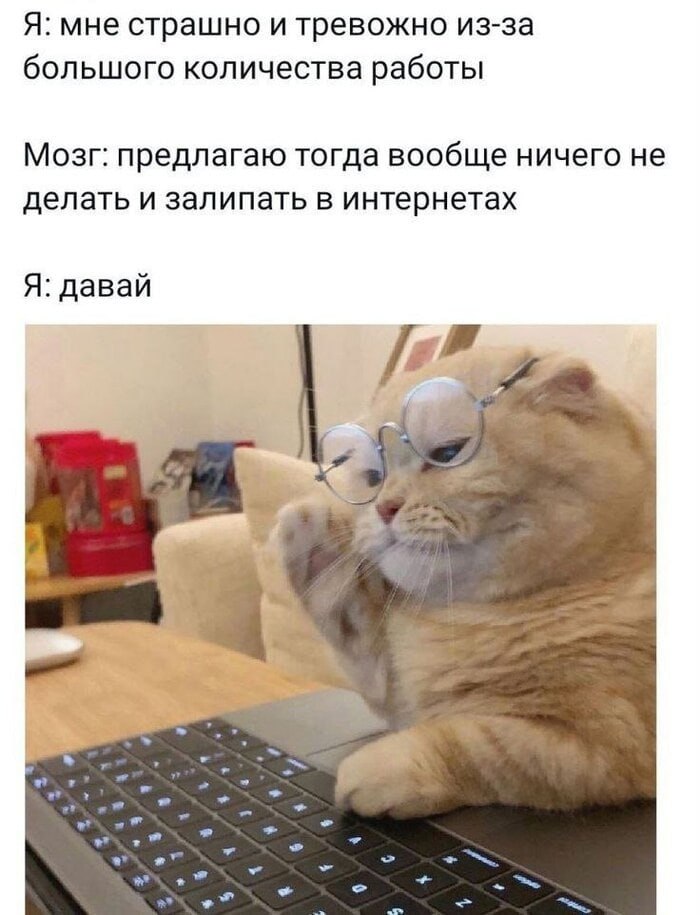 📊 KPI по мемам | Сетка — социальная сеть от hh.ru