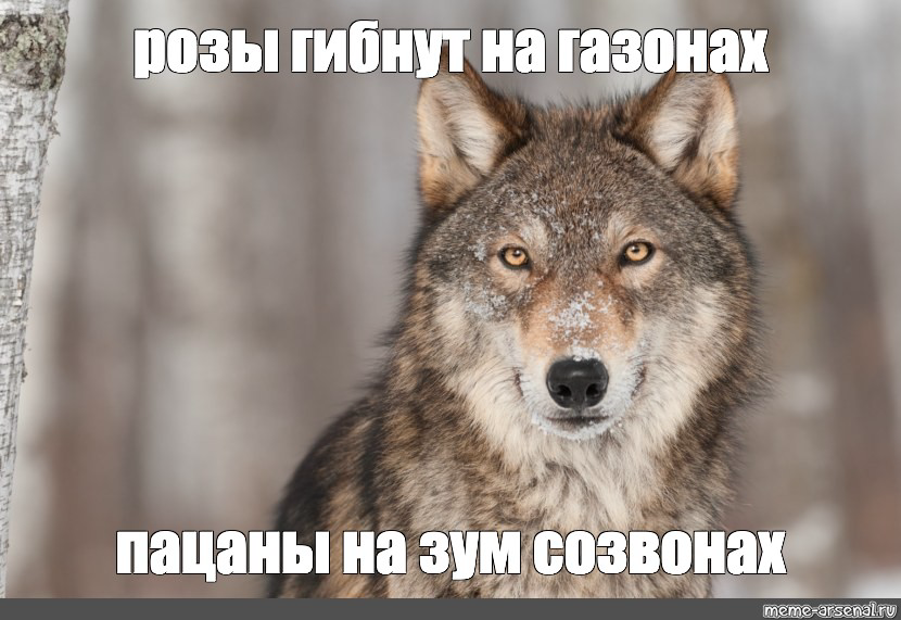 Ребят, всем привет!
Сегодня не будет вакансий, пропадаю на созвонах, готовлю новую статью для linkedin, вчерашняя консультация навела на мысль, которую хочется обсудить)
Все еще актуальна позиция Digi... | Сетка — социальная сеть от hh.ru