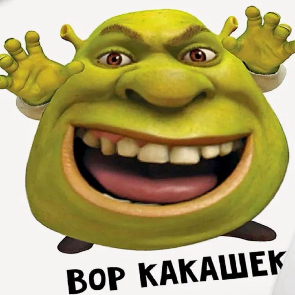 Дмитрий Шишкин | Сетка — социальная сеть от hh.ru