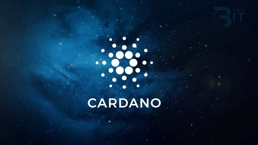 Разработчики Cardano активировали хардфорк Plomin | Сетка — социальная сеть от hh.ru