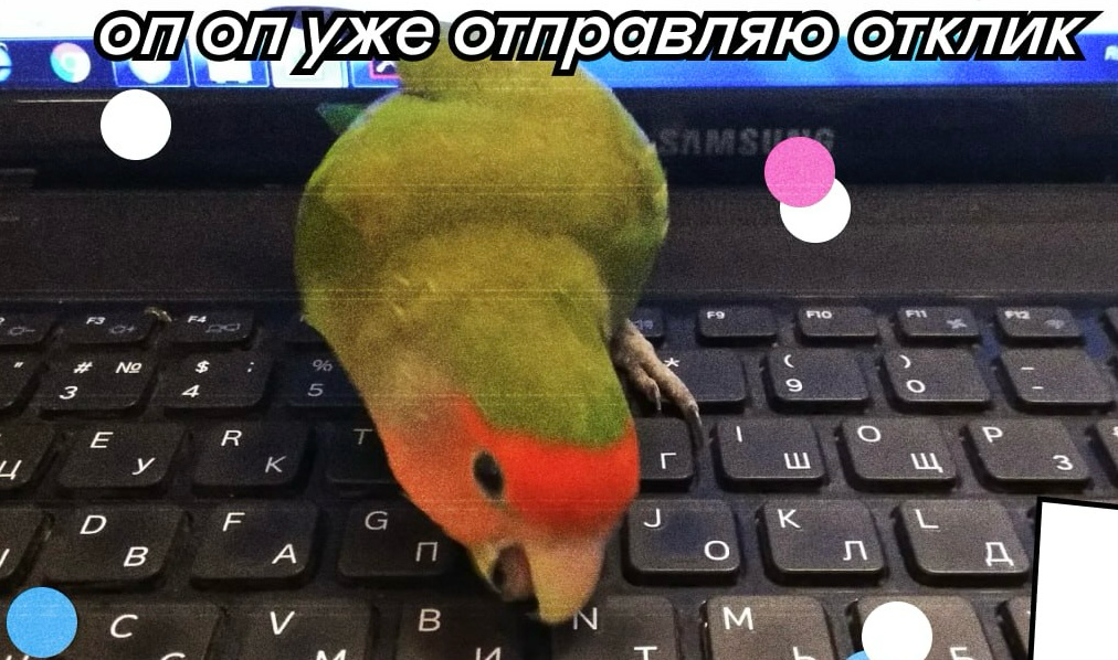 Друзья, от всего сердца делюсь ссылкой на вакансии в Яндексе🫶🏻
Переходите https://yandex.ru/jobs/vacancies?from=cpheader
Буду рада вас видеть | Сетка — социальная сеть от hh.ru