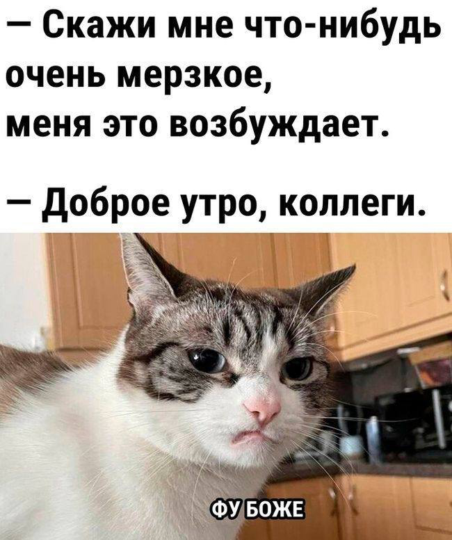 Сетка — социальная сеть от hh.ru