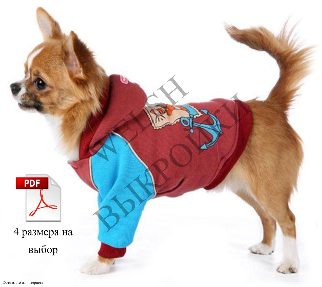 🐶 Выкройка толстовки для собаки породы ЧИХУАХУА 🧵✨
Толстовка с рукавом реглан, притачным поясом и манжетами. Горловина обработана капюшоном 🎽 | Сетка — социальная сеть от hh.ru