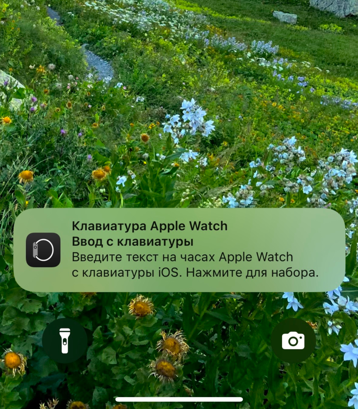 еще одна фича от Apple
я не перестаю удивляться тому, как много пользовательских сценариев продумывает Apple, и какие отличные решения почти что всегда они предлагают | Сетка — социальная сеть от hh.ru