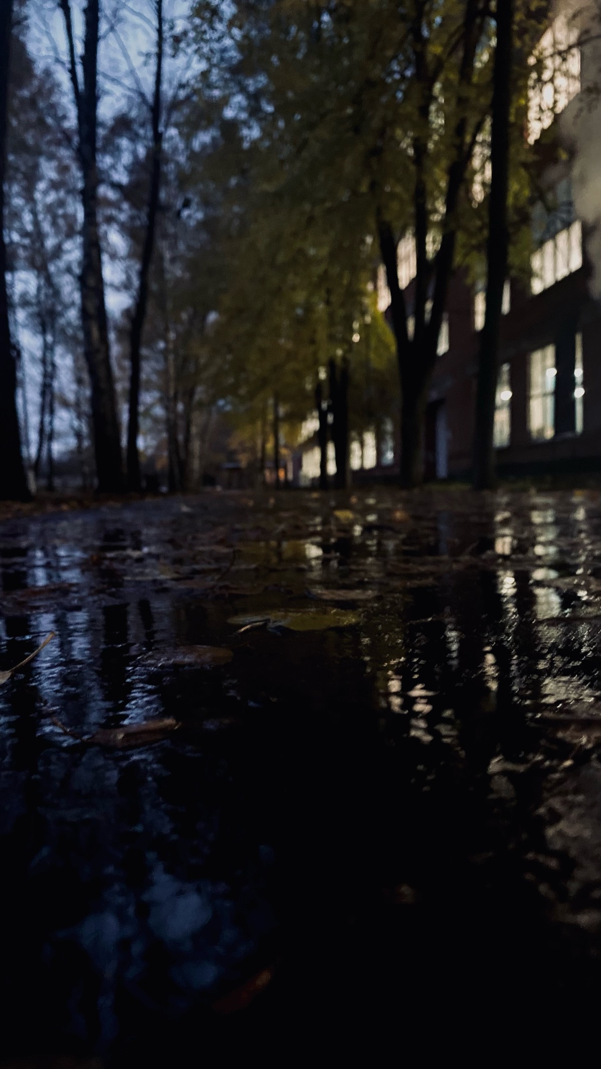 Анна Рогова