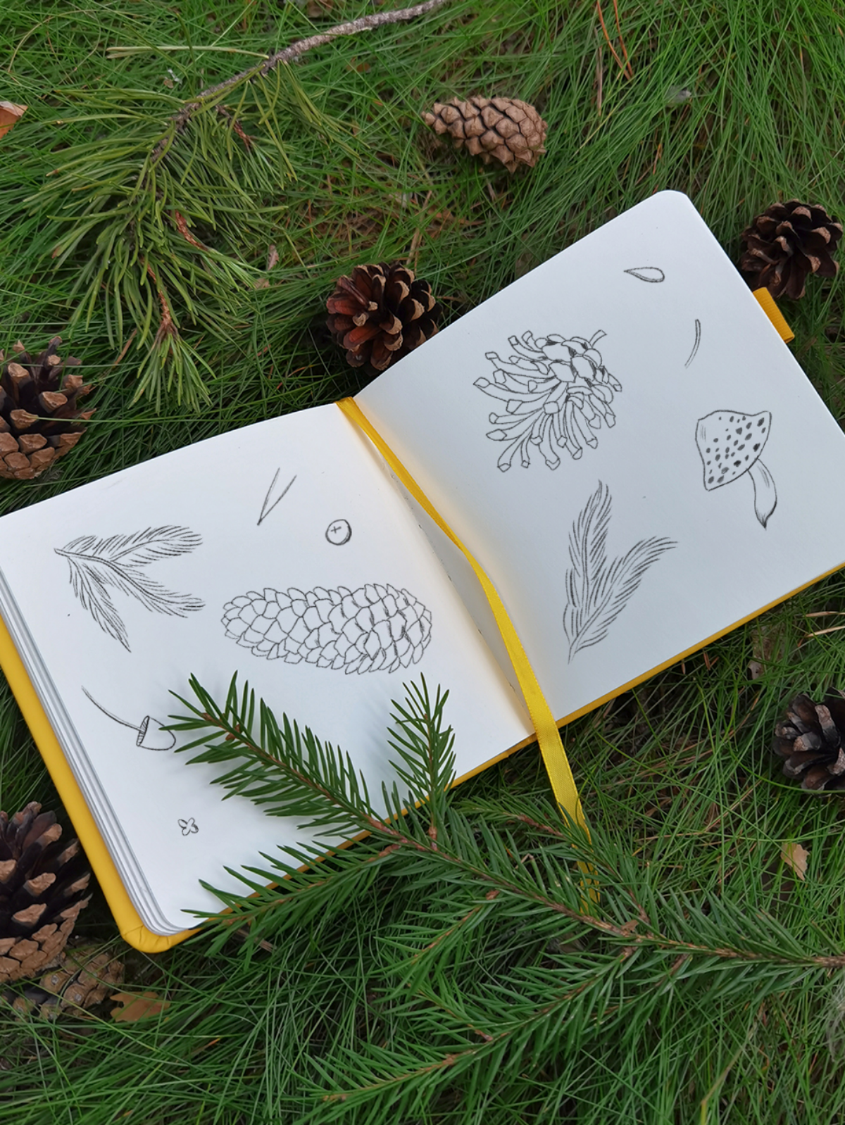 Серия лесных паттернов 🌲✏️ 
 
Больше моих работ можно посмотреть по ссылке:  Behance | Сетка — социальная сеть от hh.ru