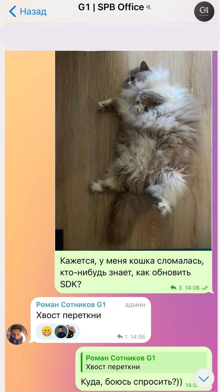 Наша тех | Сетка — социальная сеть от hh.ru