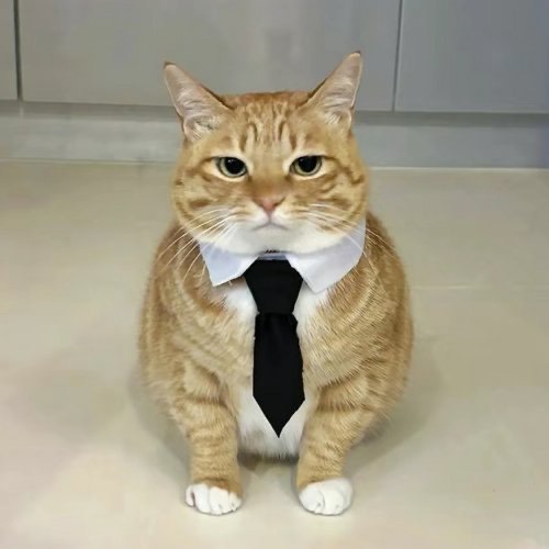 Евгения Легкоступова | Сетка — социальная сеть от hh.ru