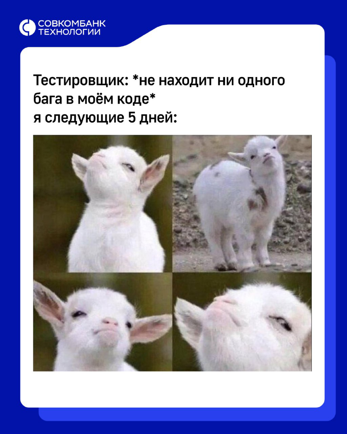 Пятница! Готовы к отдыху? 🤩  
Заряжайтесь позитивом, просматривая мемы, чтобы энергии хватило до следующей мемной пятницы! 🔥  
#мем #мемопятница #всовкомекруто #ит #итвакансии #совкомбанктехнологии #р... | Сетка — социальная сеть от hh.ru