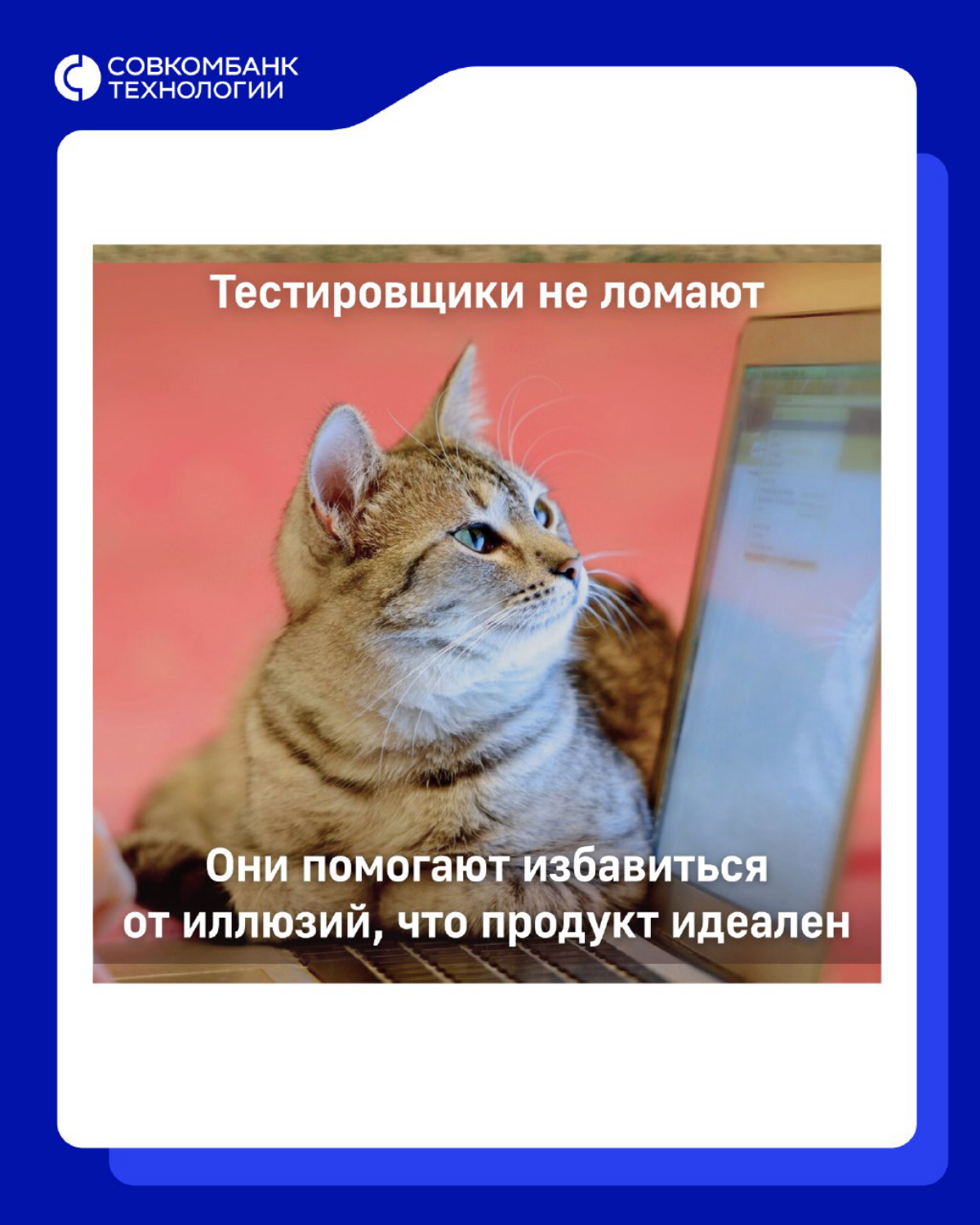 Пятница! Готовы к отдыху? 🤩  
Заряжайтесь позитивом, просматривая мемы, чтобы энергии хватило до следующей мемной пятницы! 🔥  
#мем #мемопятница #всовкомекруто #ит #итвакансии #совкомбанктехнологии #р... | Сетка — социальная сеть от hh.ru