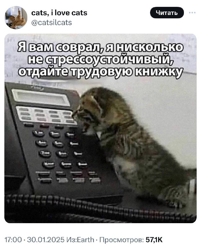 Настроение к концу рабочей недели, фото в цвете:
📊 KPI по мемам | Сетка — социальная сеть от hh.ru