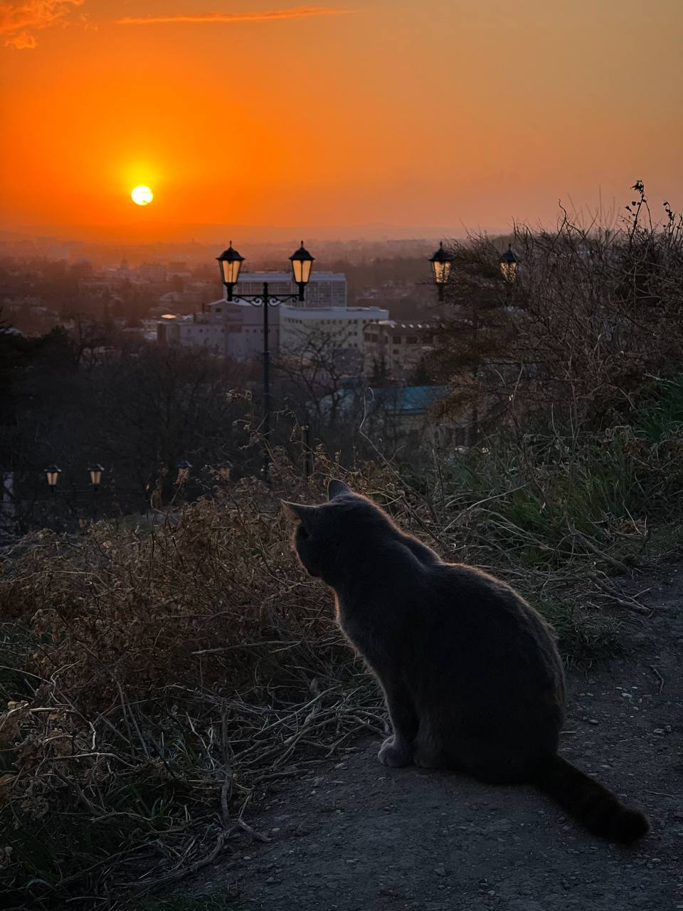 Оранжевый закат над вечерним Пятигорском
📸@artemmeletov
@stavropolyevibe | Сетка — социальная сеть от hh.ru