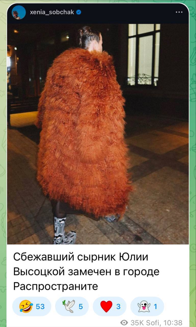 Угар, Собчак стала мемом из-за своей шубы от Prada. Креативщики наделали кучу смешных креативов, где ее сравнили с куриными ножками, неудачными сырниками Юлии Высоцкой и прочими шедеврами кулинарии | Сетка — социальная сеть от hh.ru