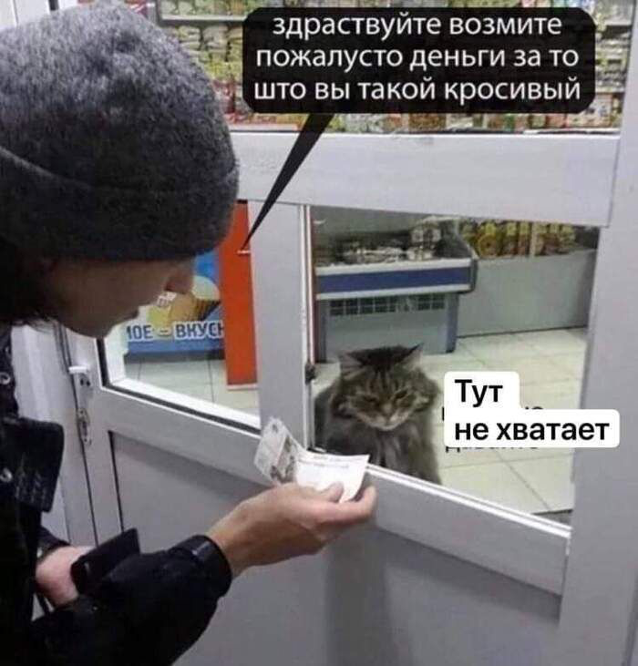 Почему я отказываюсь от заказов, как я научился говорить нет | Сетка — социальная сеть от hh.ru
