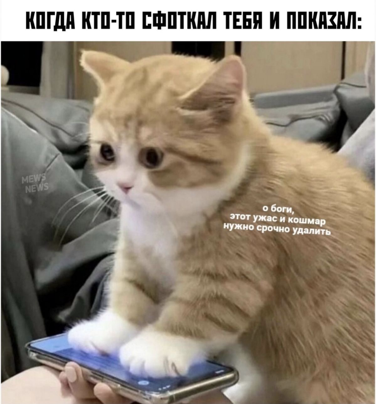 Секреты успешного маркетинга в соцсетях 🙆🏼❓ | Сетка — социальная сеть от hh.ru