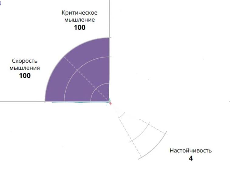 Настойчивость 4/100
Года полтора назад нас тестировали на HiPo (High potential). Там было четыре блока «анализ», «коммуникация», «изменения», «драйв» и много вопросов | Сетка — социальная сеть от hh.ru