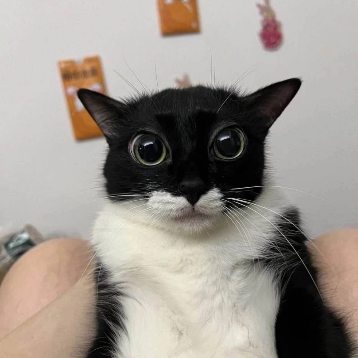 Кирилл Акимкин