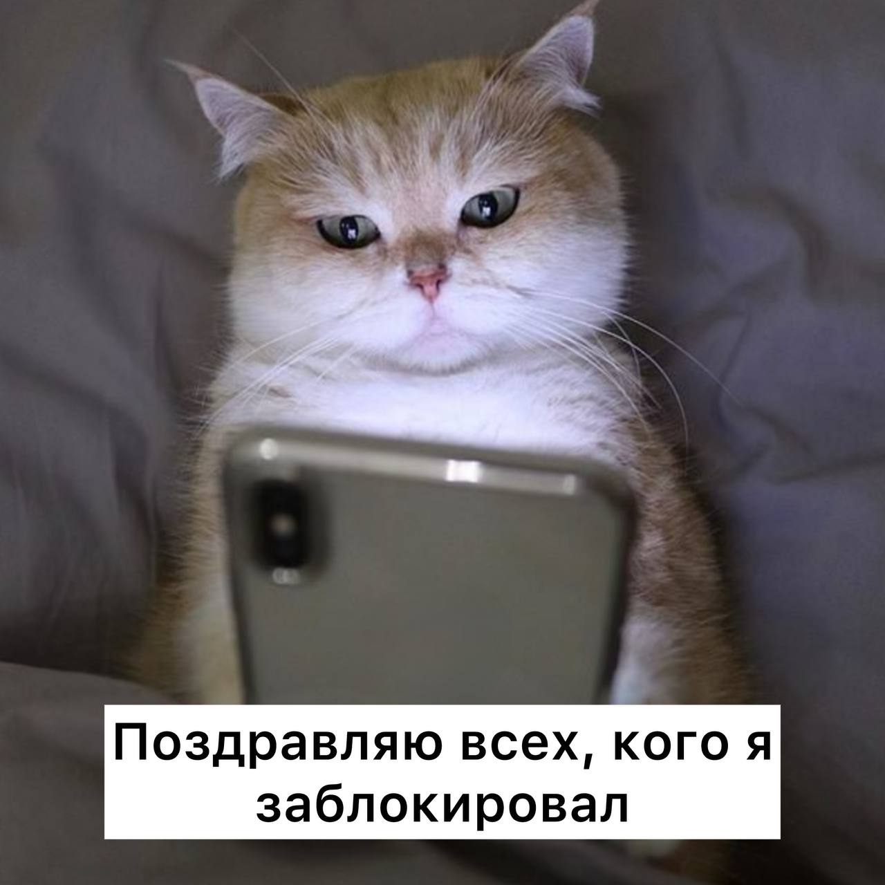 Сегодня день отказа от ненужных отношений. Пользуемся моментом 😎 | Сетка — социальная сеть от hh.ru