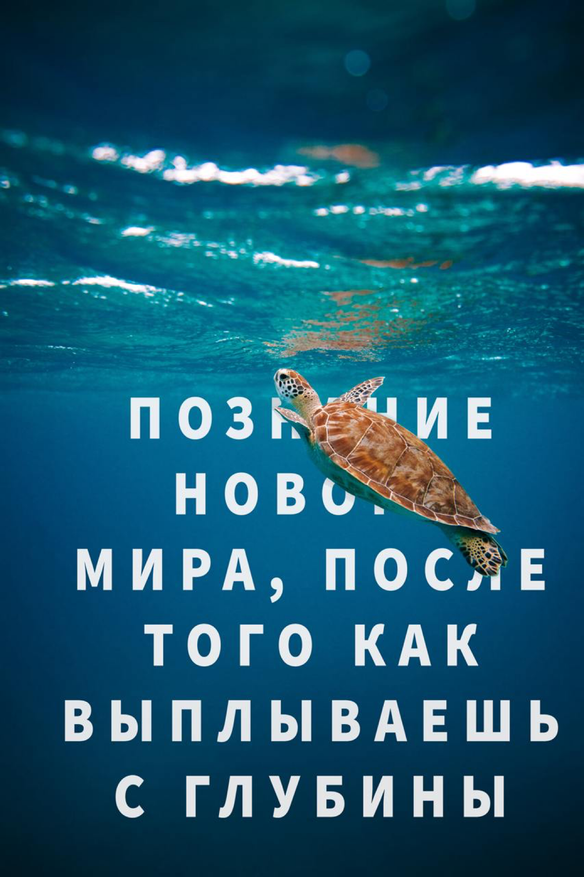 Добрый день!
И вот уже несколько дней я изучаю дизайн, и пытаюсь разобраться в программе Adobe Photoshop.
И вот что я попробовал сделать уже за несколько дней | Сетка — социальная сеть от hh.ru